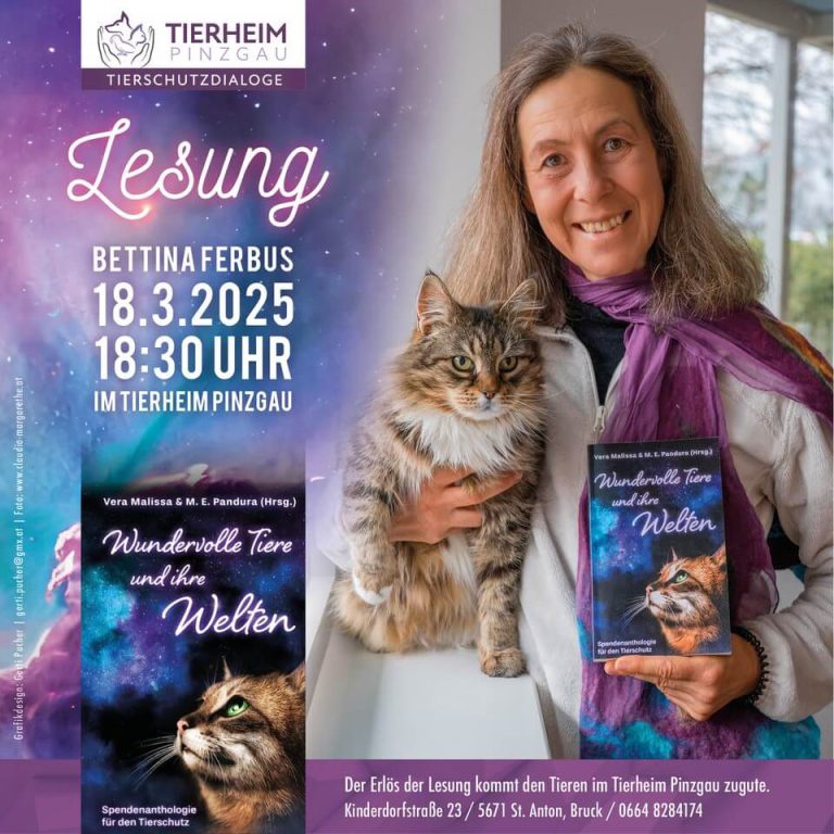 Lesung mit Bettina Ferbus im Tierheim Pinzgau, Katze auf dem Arm und Buch "Wundervolle Tiere".
